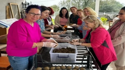 İzmit’in Yaşam Bahçesi’nde permakültür eğitimlerine devam