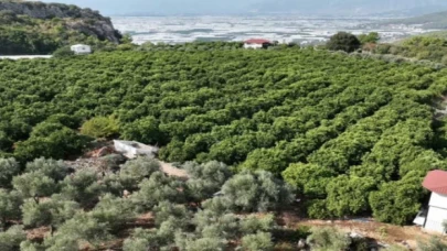 Kapalı devre sulama yüzleri güldürdü