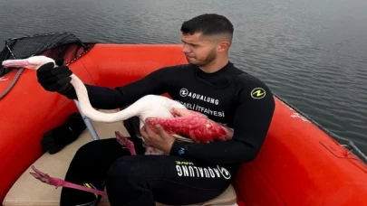 Kocaeli İtfaiyesi yaralı flamingoyu kurtardı