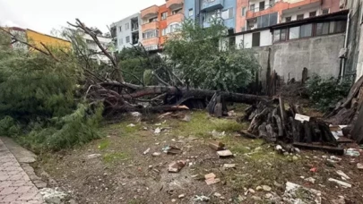 Muğla'da korkutan hortum; Çatılar uçtu, ağaç ve direkler devrildi