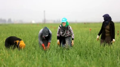 Son 10 yılda 1379 kadın işçi hayatını kaybetti