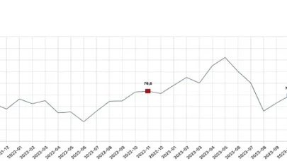 Tüketici güven endeksi 75,5 oldu