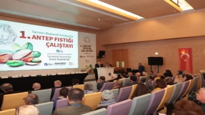 Antalya Antep fıstığına dönüyor