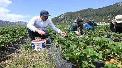 Başkan Altay Konya’da Tarımın Gelişmesi İçin 461 Milyon Lira Destek Sağladıklarını Açıkladı