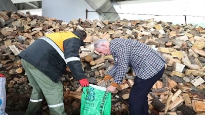 Bayrampaşa’da budanan ağaçlar evleri ısıtıyor