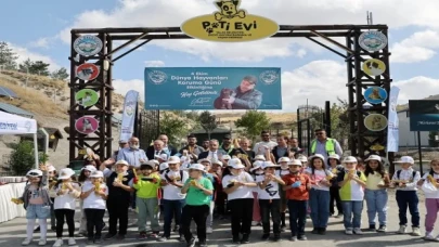 Can dostların huzurlu yuvası Kayseri Talas Pati Evi