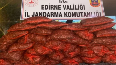 Edirne Jandarması 600 kilogram kaçak midye ele geçirdi