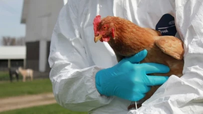 Fransa'da kuş gribi alarmı verildi