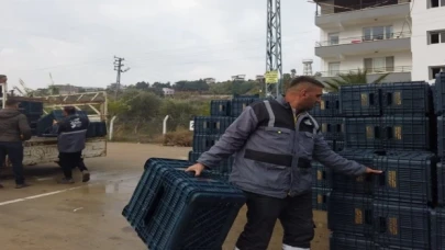 Hataylı zeytin üreticisine sandık dağıtımı