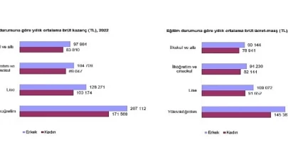 Kazanç Yapısı İstatistikleri, 2022