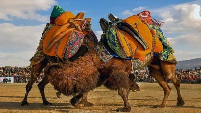 Körfezin incisi burhaniye 1. ulusal fotoğraf yarışması sonuçlandı