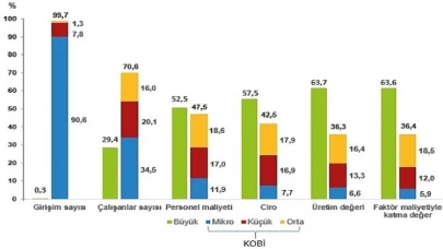 Küçük ve Orta Büyüklükteki Girişim İstatistikleri, 2022