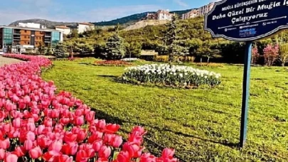 Muğla Büyükşehir Yeşil Alan Miktarını İl genelinde Yüzde 92 Arttırdı