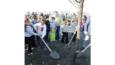 Seferihisar’da şehitlerin anısına ağaç dikildi