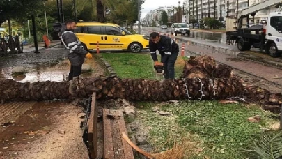 Antalya Büyükşehir teyakkuzdaydı