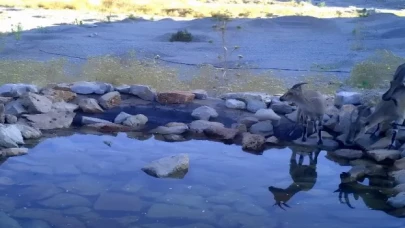 Antalya’daki üretim sahasını yeniden doğaya kazandırıyor