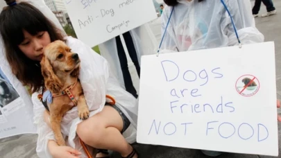 Güney Korelilerin yüzde 90'ından fazlası köpek eti yemek istemiyor