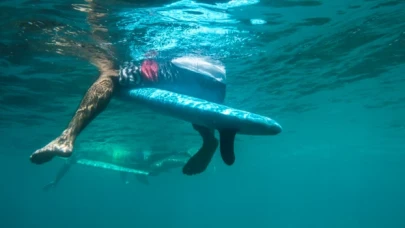 Hawaii’de köpek balığı tarafından yaralanan sörfçü hayatını kaybetti