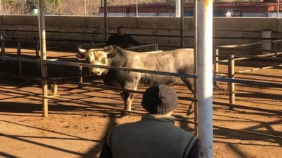 Hayvancılığı şaha kaldıracak tesis