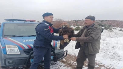 Jandarma yaban hayvanları doğada yalnız bırakmıyor