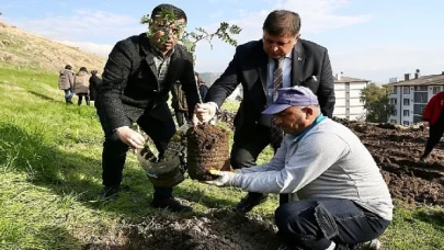 Karşıyaka’da ağaç varlığı hızla artmaya devam ediyor