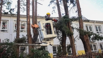 Karşıyaka’da çevre düzenleme çalışmaları hızla devam ediyor