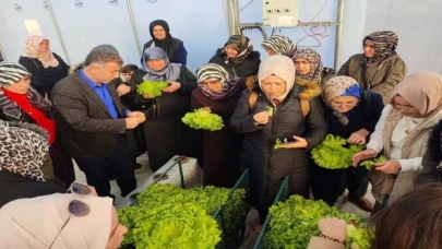 Kocaeli’nde topraksız tarıma kadın çiftçilerden yoğun ilgi