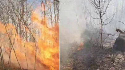 Sakarya, Karasu'da orman yangını