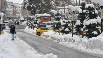 Hakkari'de ulaşım ücretsiz oldu