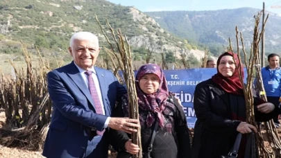 Muğla Büyükşehir Belediyesi 53 Bin Adet Meyve Fidanı Dağıtıyor