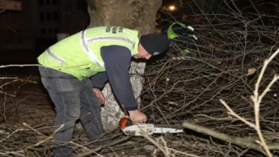 Sakarya’nın sembol noktalarına estetik dokunuş