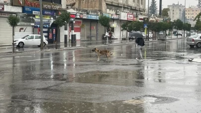 Şanlıurfa'da sağanak nedeniyle eğitime ara verildi