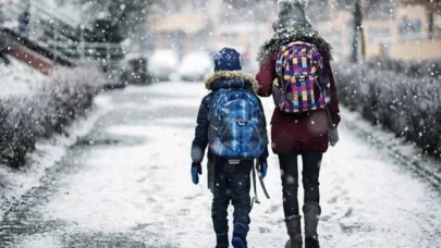 Bitlis'te olumsuz hava koşulları nedeniyle eğitime ara verildi