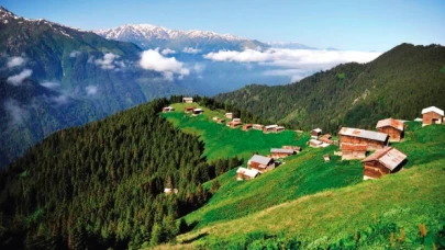 Karadeniz’i bekleyen büyük tehlike: Orman yangınları iki katına çıkacak