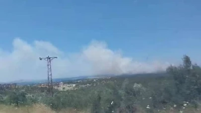 Çanakkale'de orman yangını çıktı