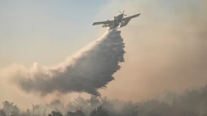 Çanakkale'deki orman yangını kontrol altına alındı