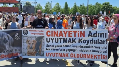 Hayvanseverler sokak köpekleri için eylem yaptı