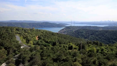 CHP’li Adem: “İstanbul'un akciğerleri yok ediliyor: Kuzey Ormanları rant uğruna kurban ediliyor”