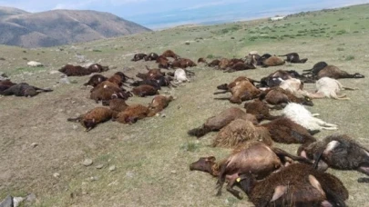 Iğdır'da yıldırım düştü: 70 hayvan öldü, bir kişi ağır yaralandı