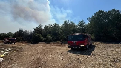 İzmir İtfaiyesi 4 ilçede yangınlara müdahale ediyor