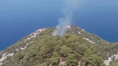 Muğla'nın Ortaca ilçesinde orman yangını çıktı