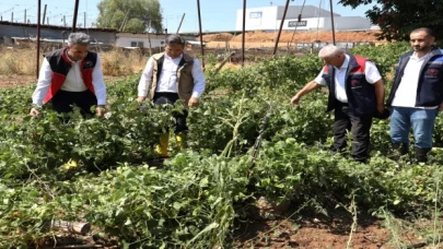 Bilecik Pazaryeri’nde yağıştan zarar gören arazilere yakın mercek