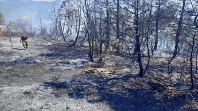 Düzce Yığılca’da çıkan yangına müdahale ediliyor 