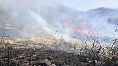 İzmir Yamanlar Dağı’nda çıkan yangınla mücadele sürüyor