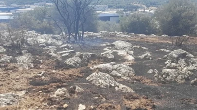 İzmir’de yangın fabrikalara ulaşmadan kontrol altına alındı