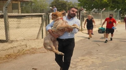 Karşıyaka’nın ciğerleri yanıyor!