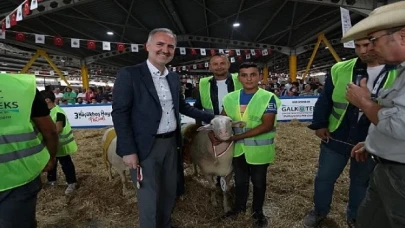 Küçükbaş Hayvancılık Festivali İçin Geri Sayım Başladı