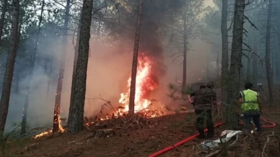 Muğla Büyükşehir Orman Yangınlarında Tüm Gücüyle Sahada