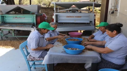 Muğla tarımı dünyaya açılıyor