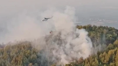 Muğla ve Aydın'daki orman yangınları kontrol altına alındı